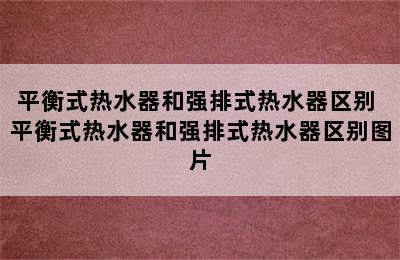 平衡式热水器和强排式热水器区别 平衡式热水器和强排式热水器区别图片